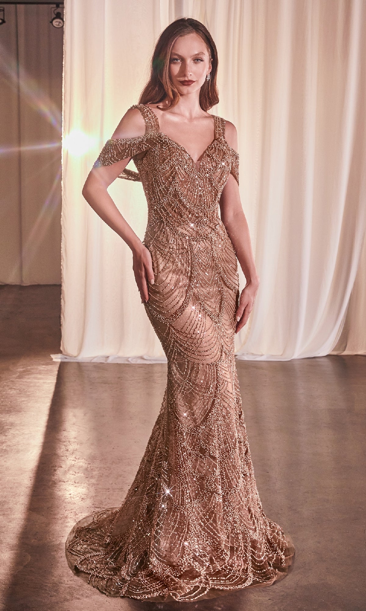 Sienna Ladivine Long Formal Dress CC4020