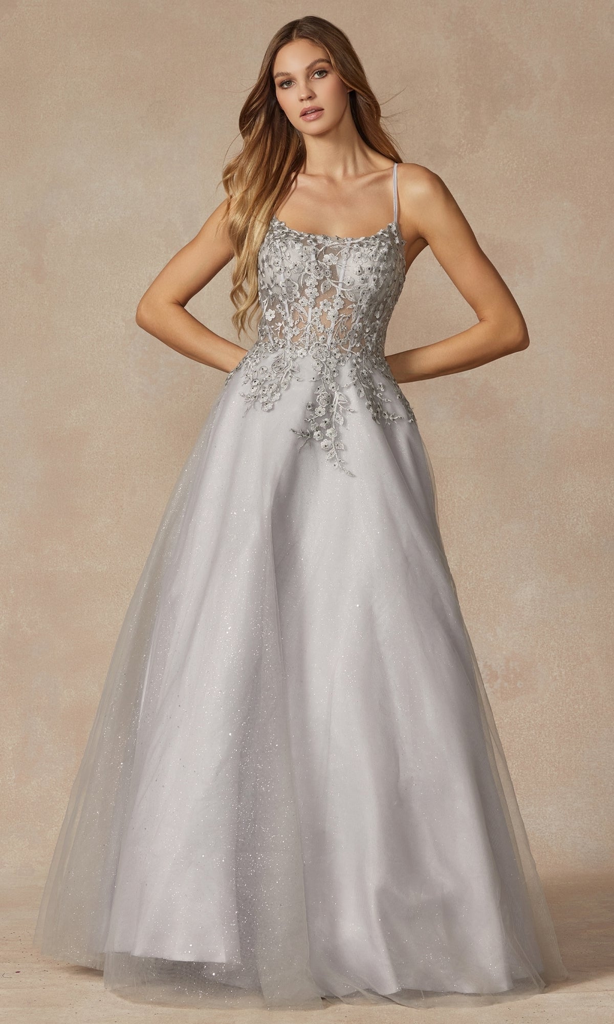 Silver Juliet Long Formal Dress 295