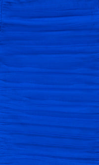 Blondie Nites Short Party Dress 4189BN