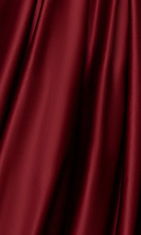 Blondie Nites Long Prom Dress 5918BN