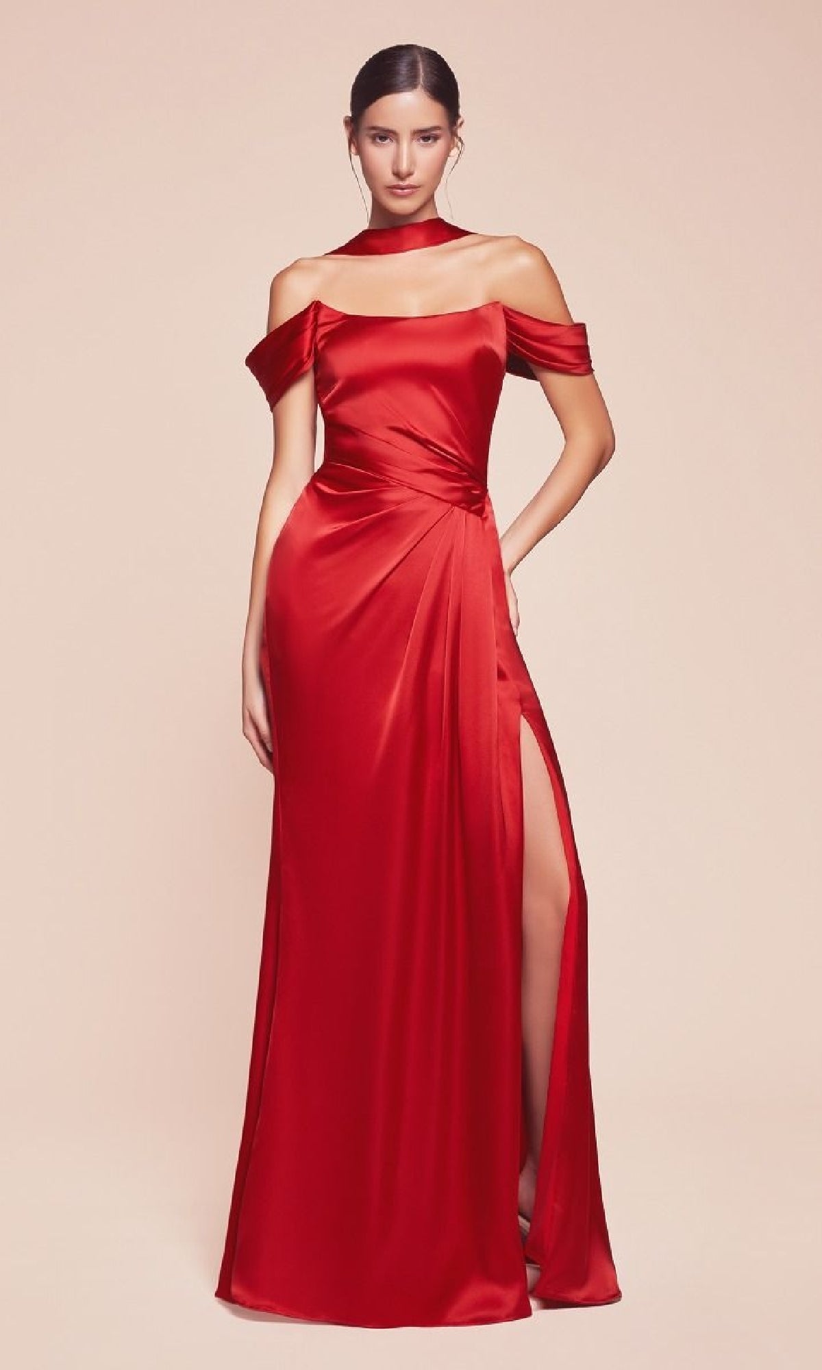Ladivine Long Formal Dress 7452