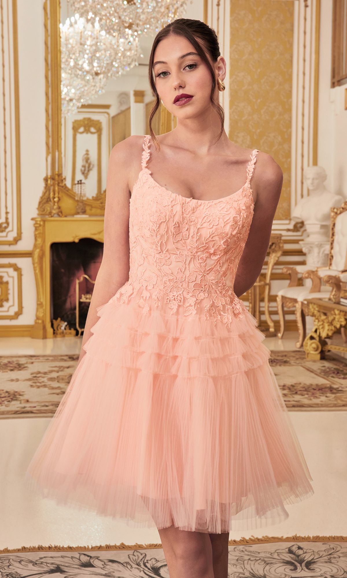 Blush Ladivine Short Party Dress 9310