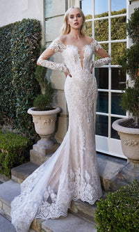 Ladivine Long Wedding Dress A1022