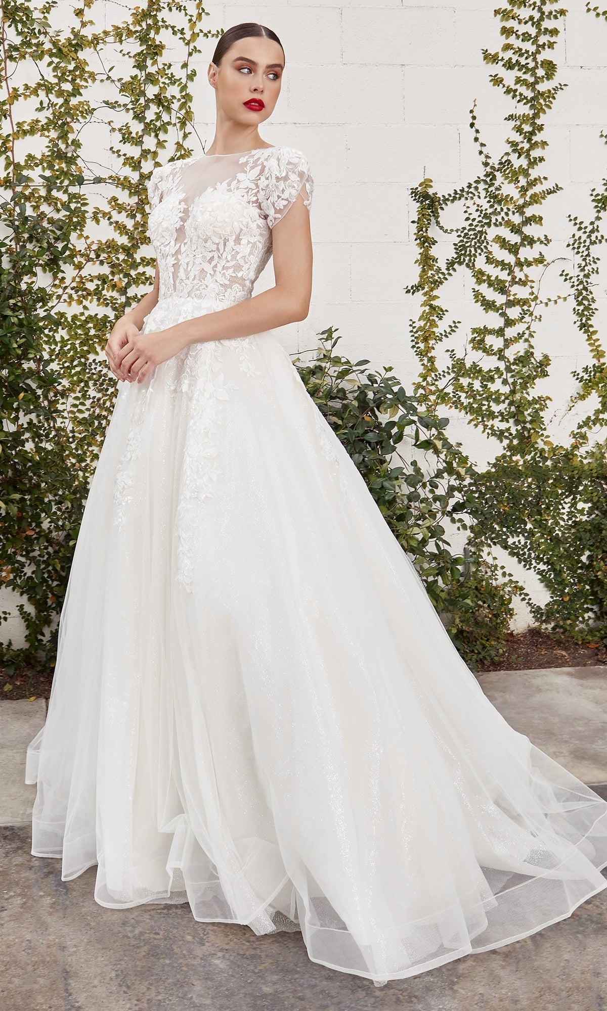 Ladivine Long Wedding Dress A1082W