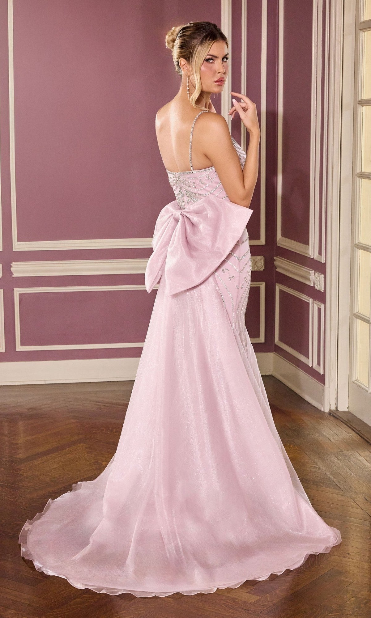 prom dresses that cover back Long Prom Dress cb167 by Ladivine Mauve / 0