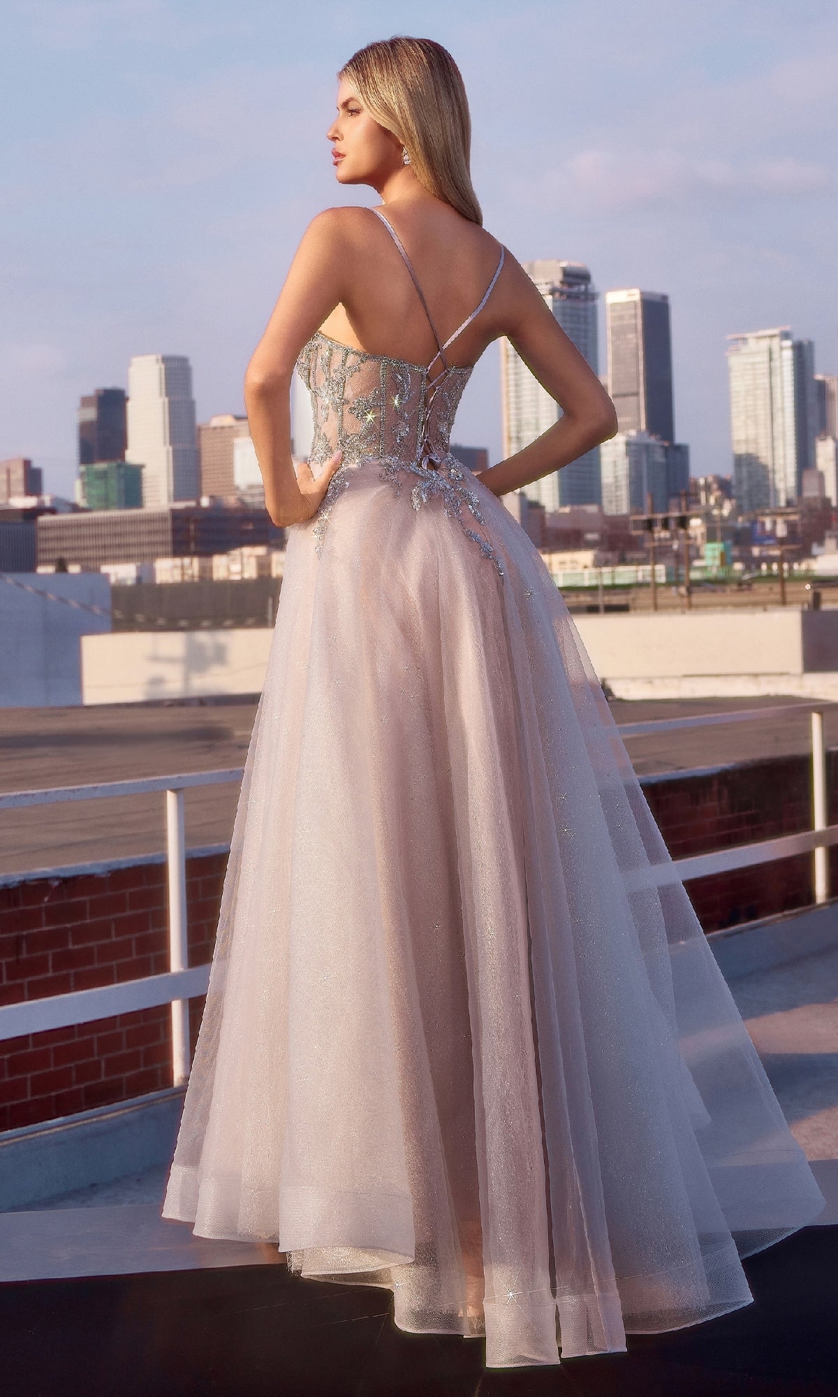 Ladivine Long Formal Dress CC0881