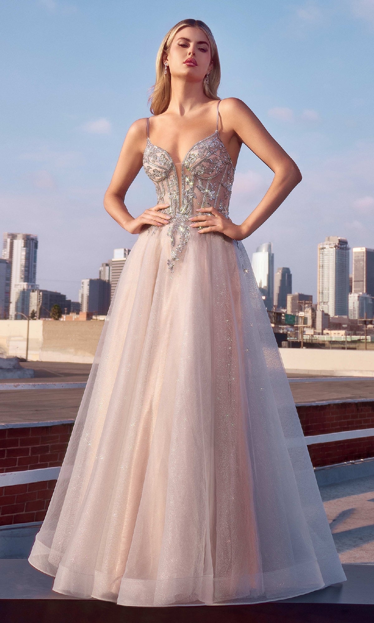 Silver Nude Ladivine Long Formal Dress CC0881