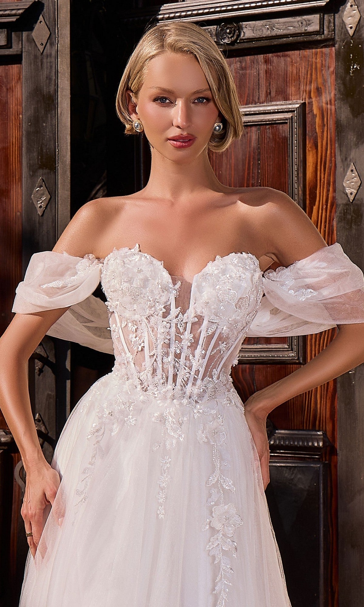 Ladivine Long Wedding Dress CD2426W