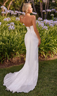 Ladivine Long Formal Dress CD411W