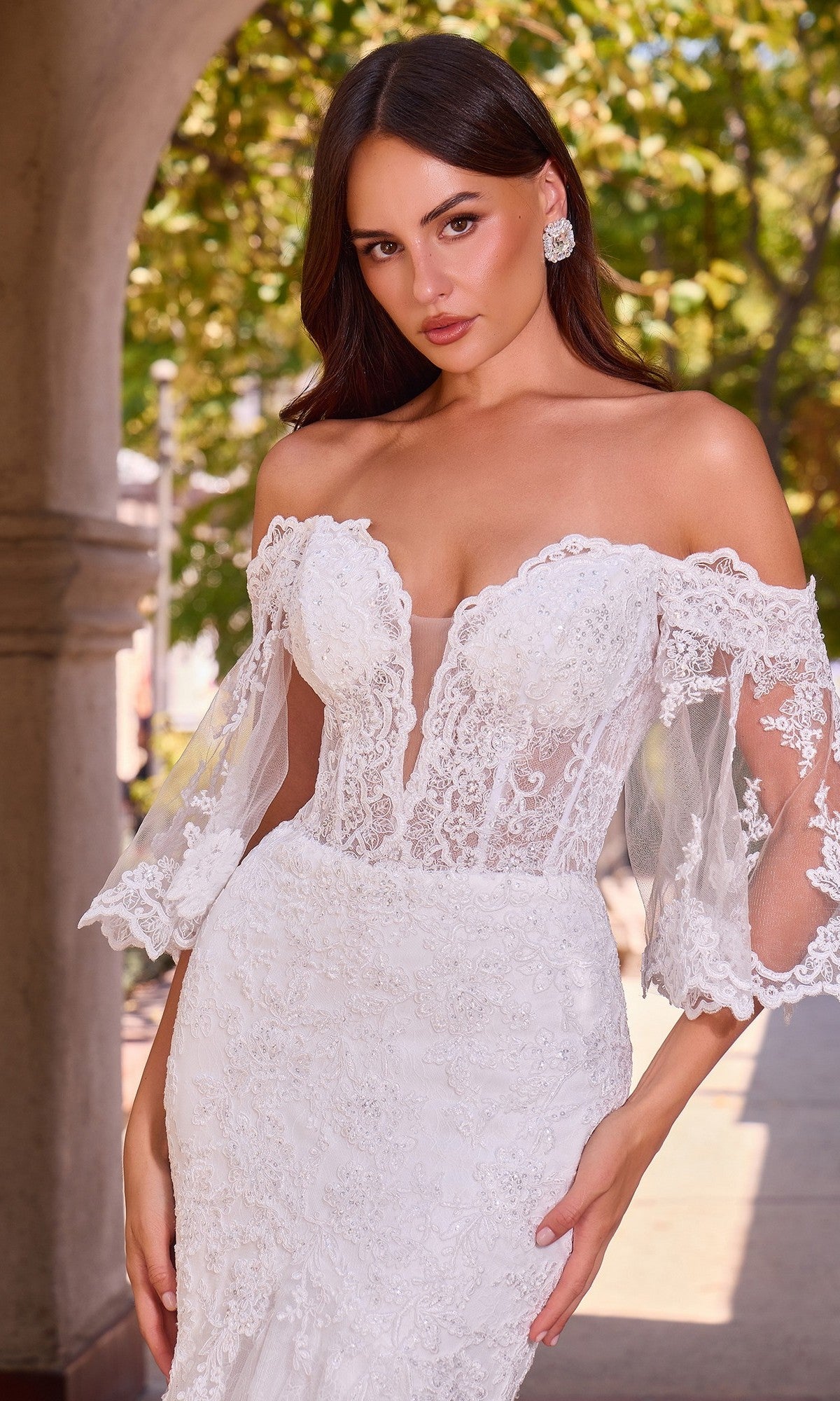 Ladivine Long Wedding Dress CD659W