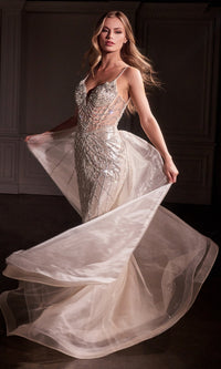 Platinum Ladivine Long Prom Dress CD763