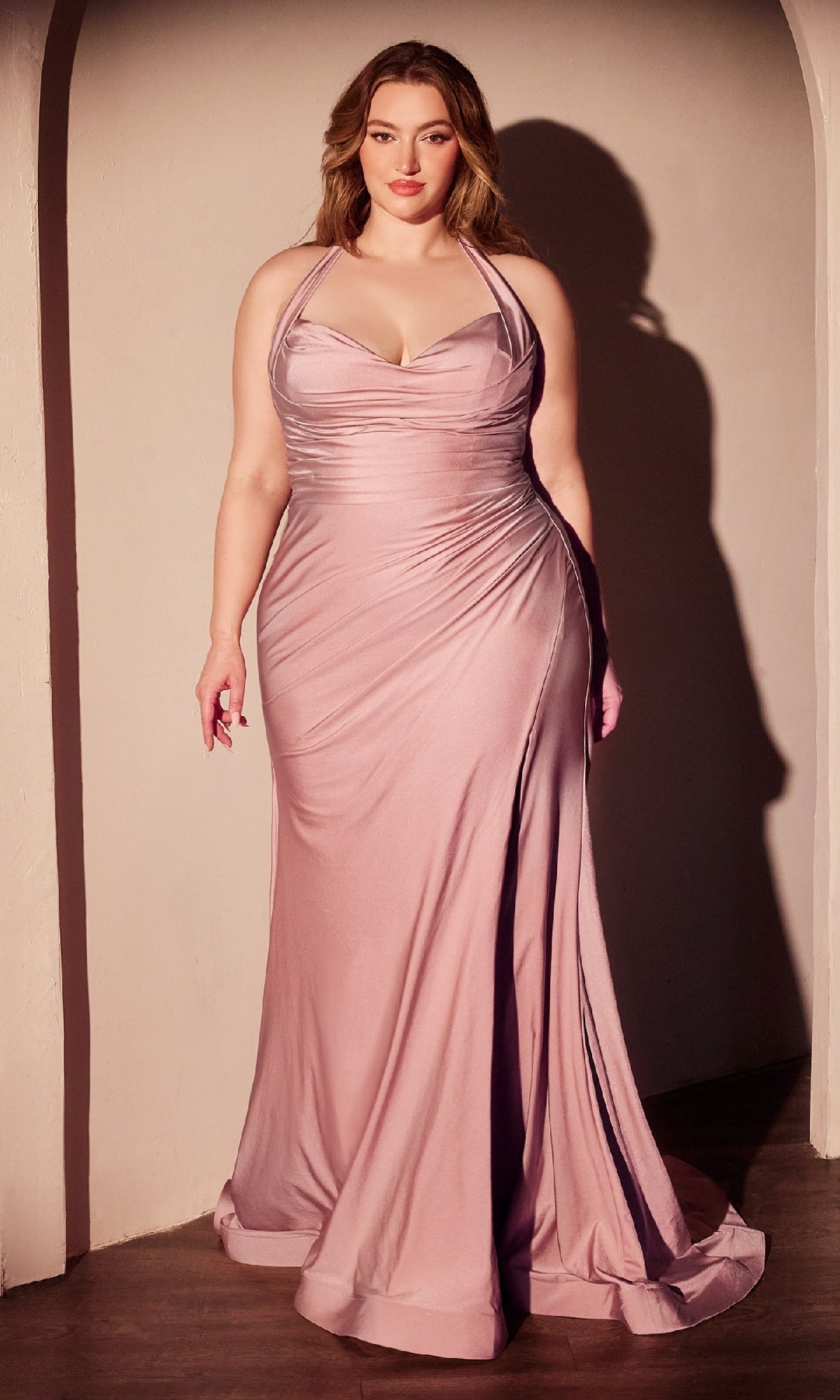 Dusty Rose Ladivine Long Formal Dress CD796C