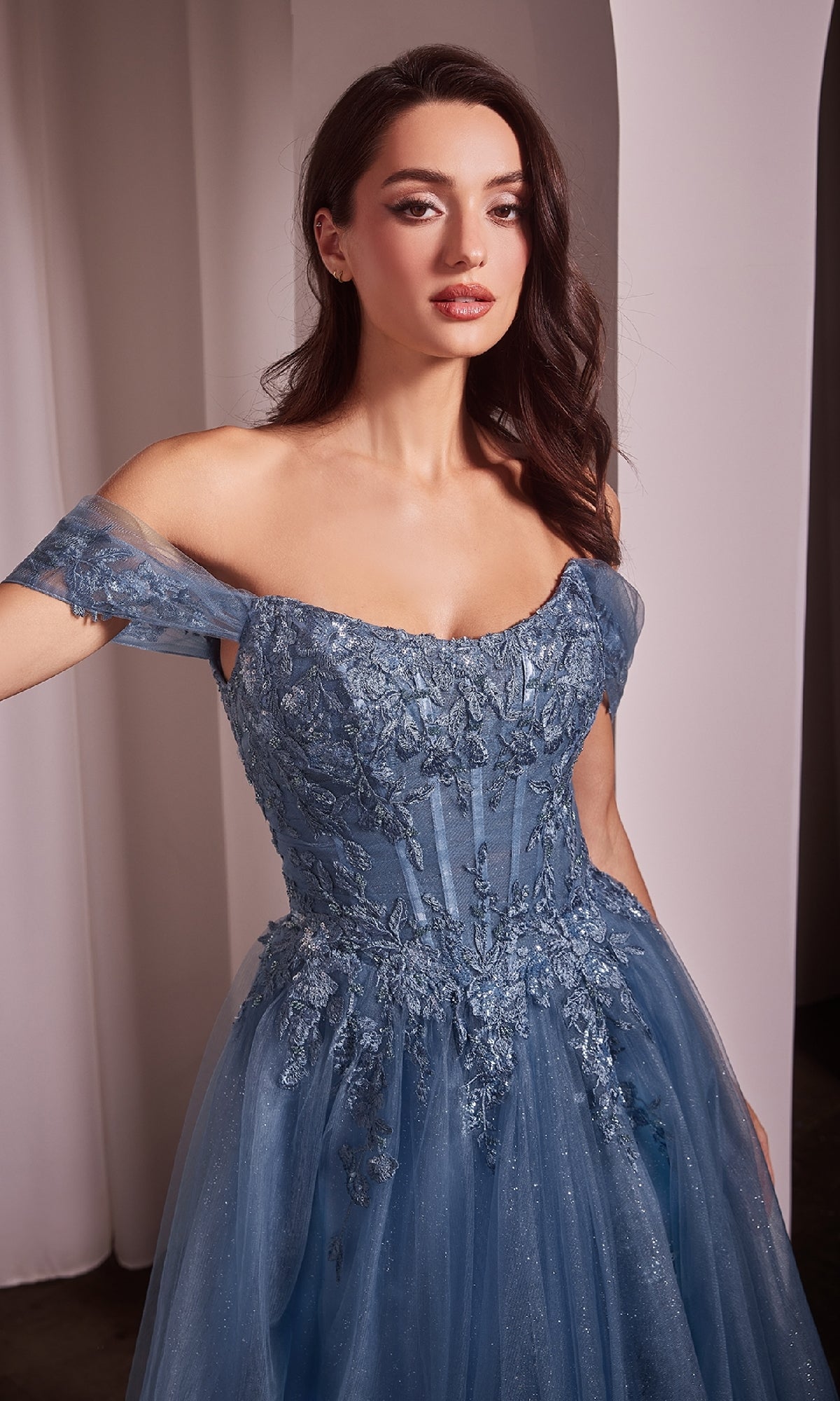 Ladivine Long Formal Dress CD799