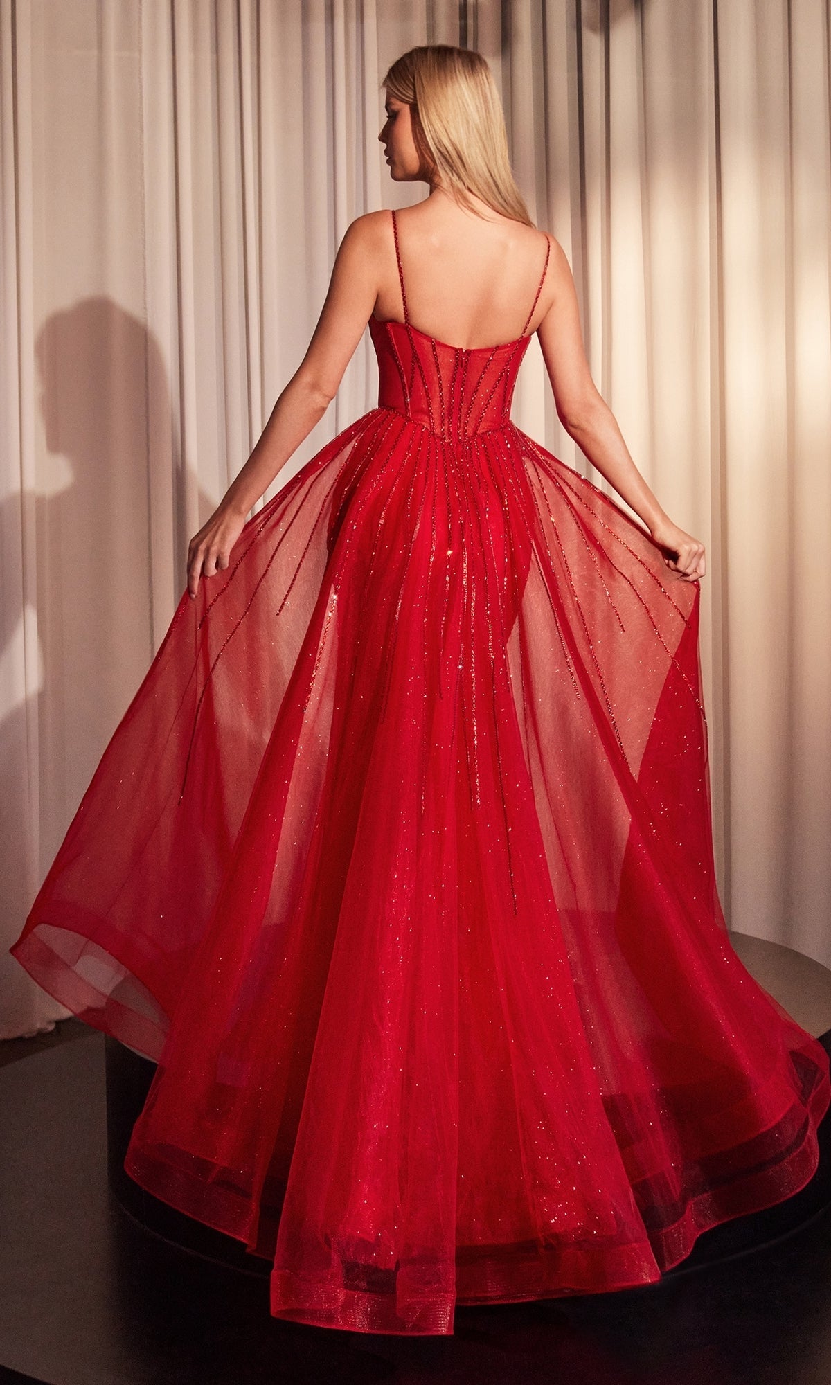 Ladivine Long Formal Dress CD863