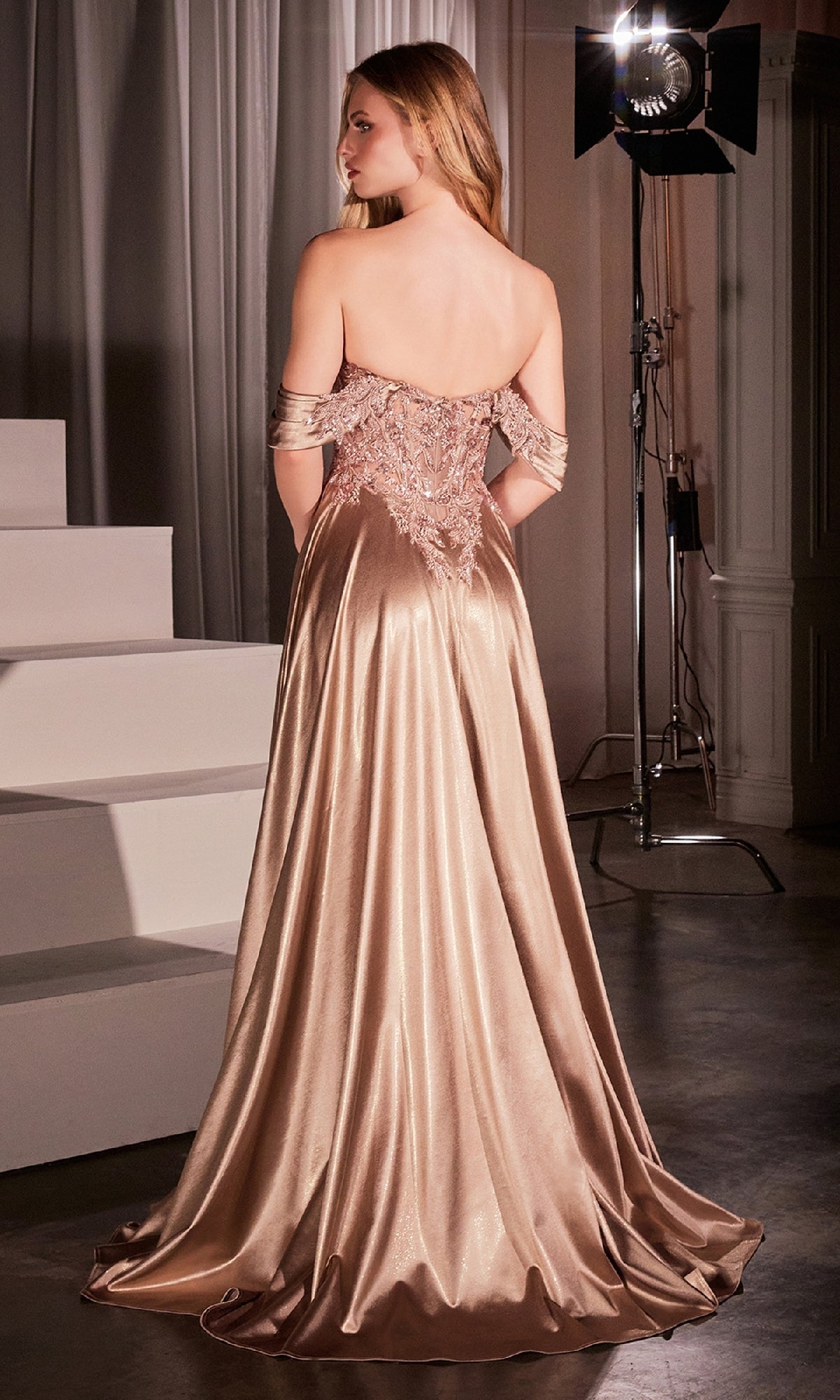 Ladivine Long Prom Dress CDS525