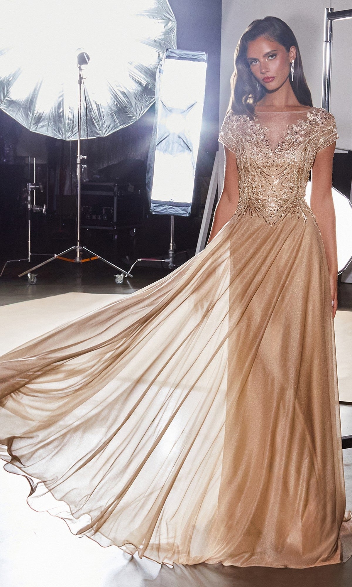 Ladivine Long Formal Dress CL11