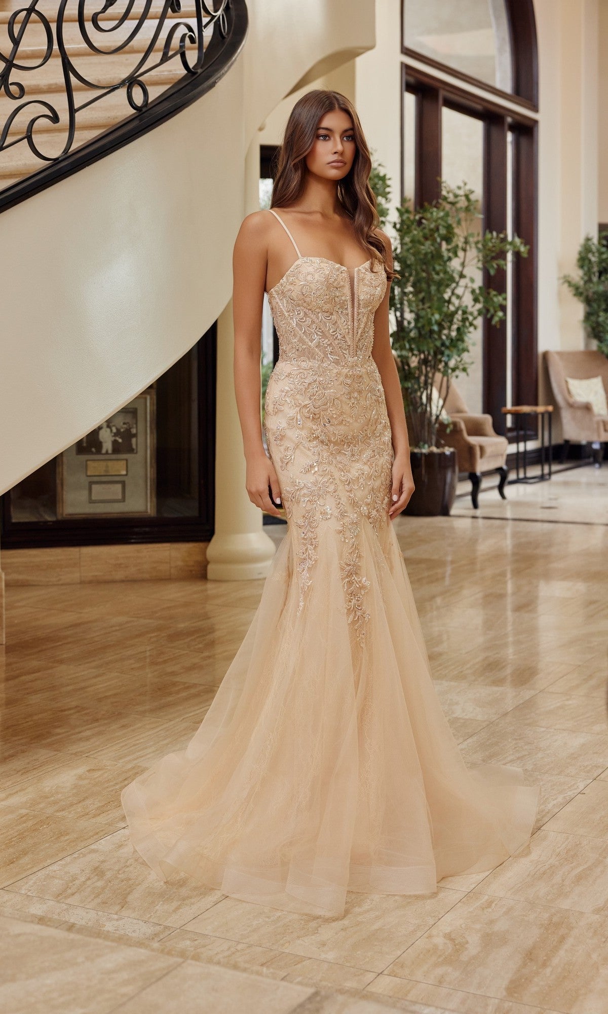 Champagne Nox Anabel Long Prom Dress h1874 - Image