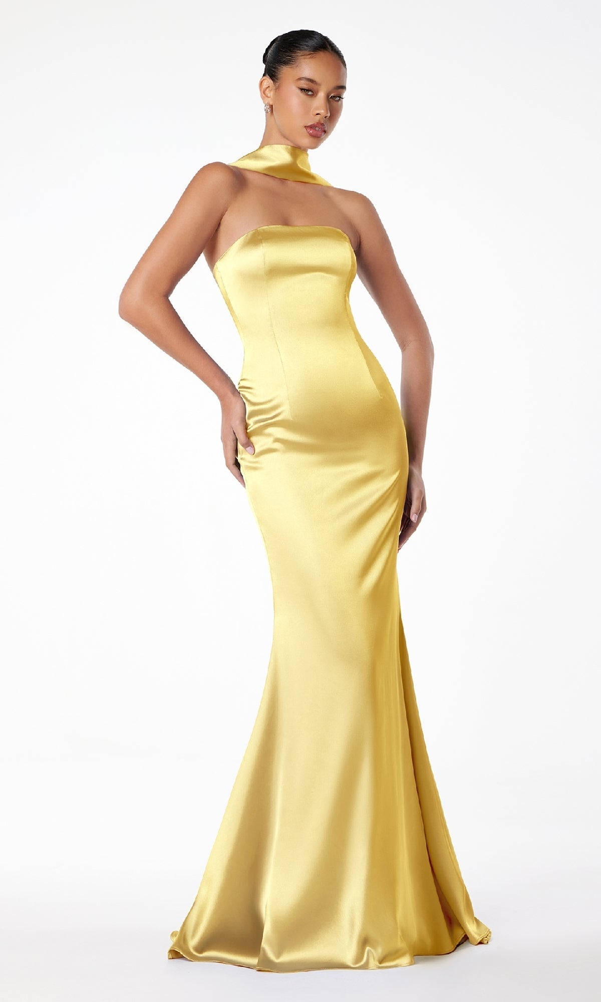 Astee Long Formal Dress T2012