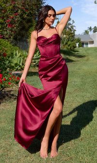 Ladivine Long Formal Dress t608