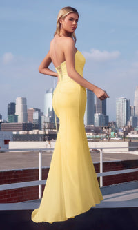 Amoris Long Prom Dress T702