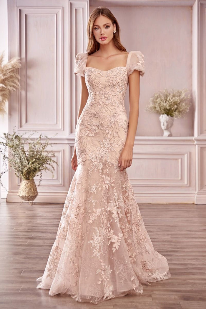Blush Formal Long Dress A1025 by Andrea and Leo