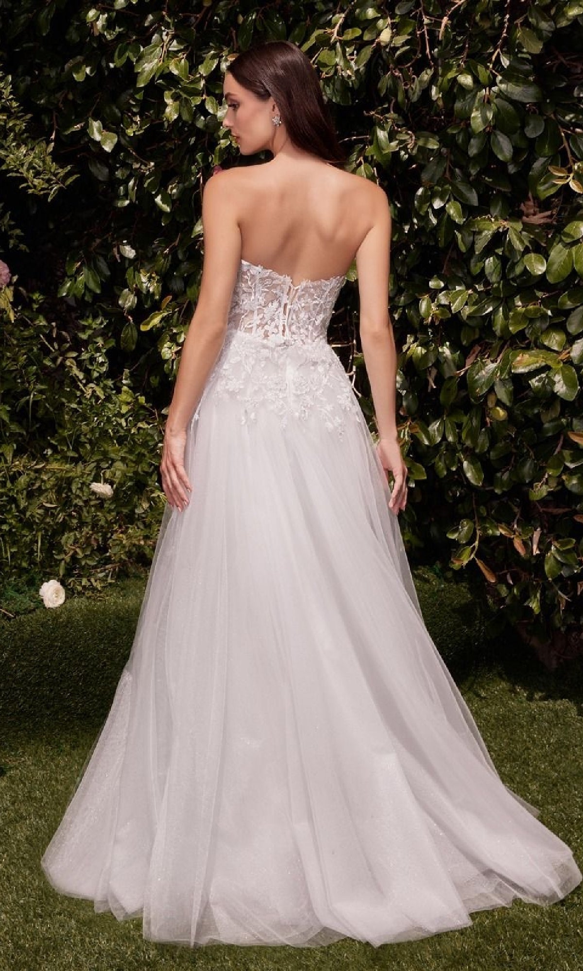 Ladivine Long Formal Dress c148w - Image