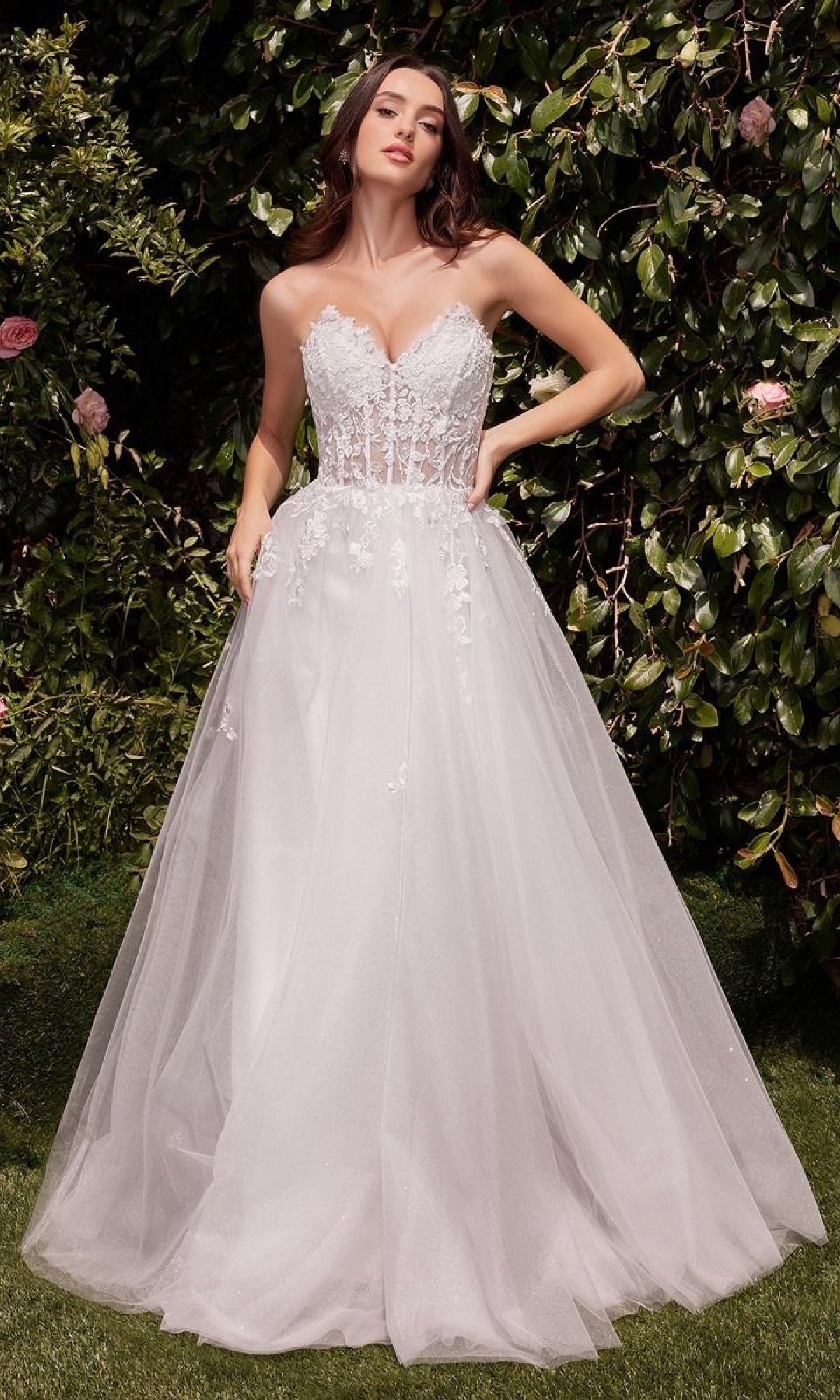 Ladivine Long Formal Dress c148w - Image