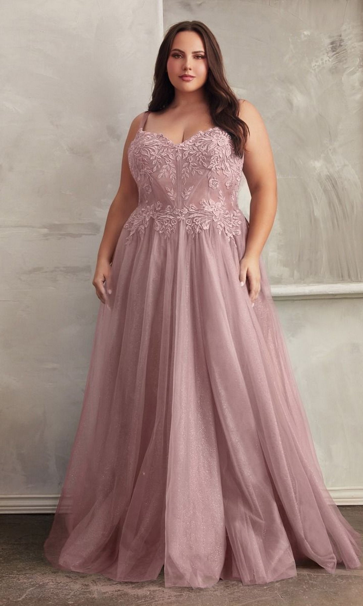 Mauve Long Plus-Size Formal Dress C150C by Ladivine