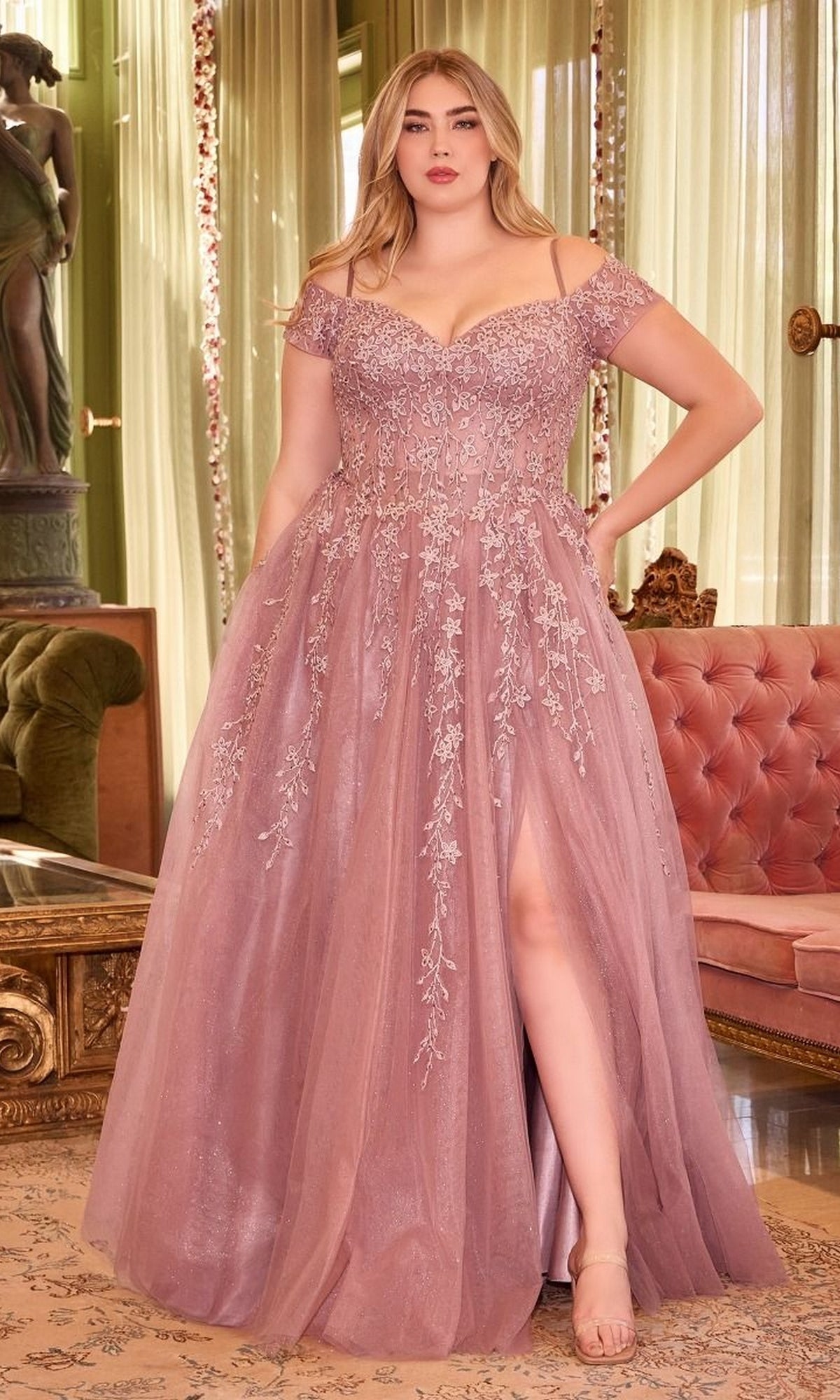 Maxi Dress Blush Plus Size Formal Dress Ball Gown Plus Size Mauve