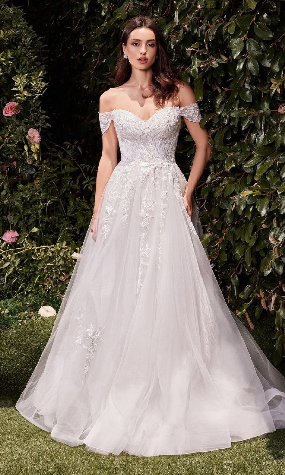 Ladivine Long Formal Dress c159w