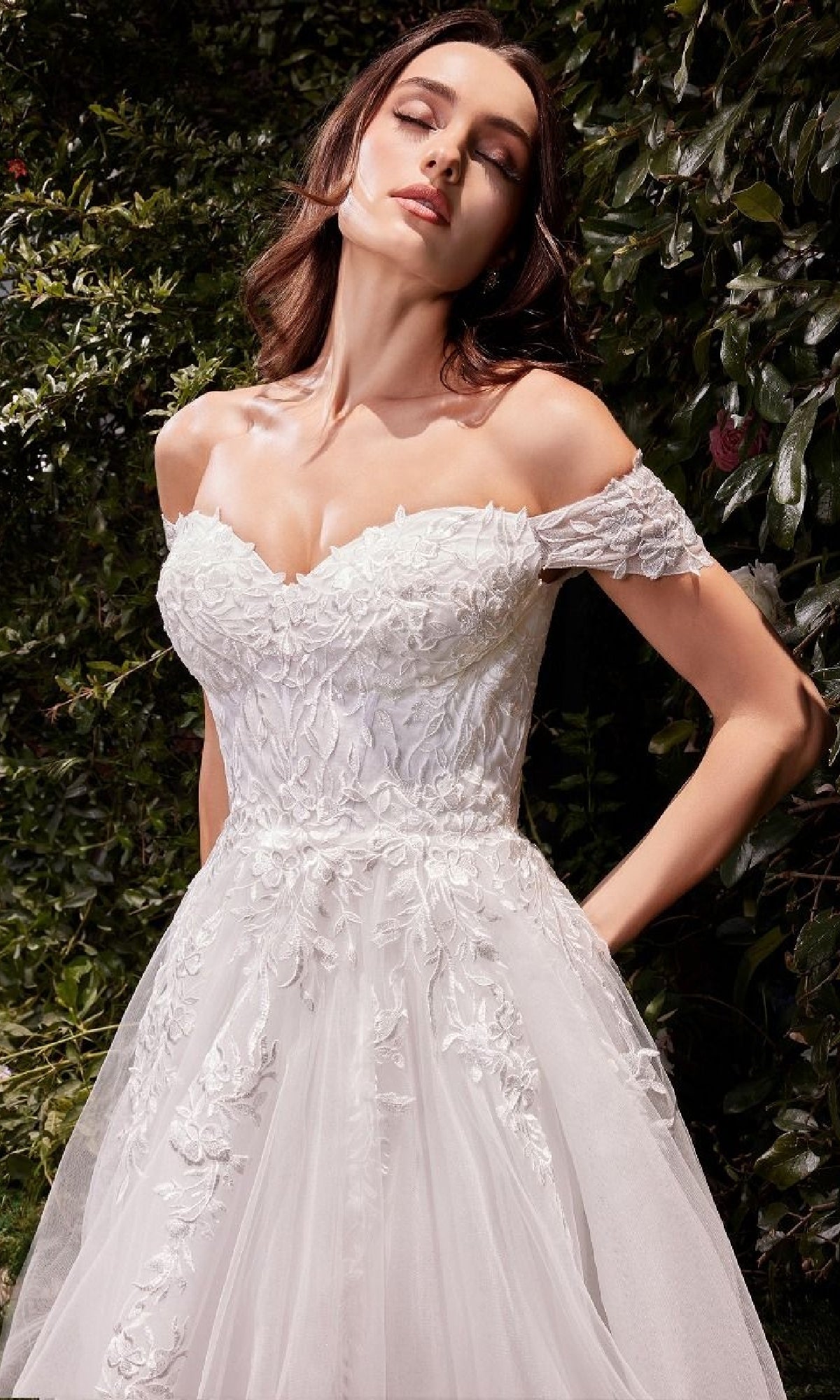 Ladivine Long Formal Dress c159w
