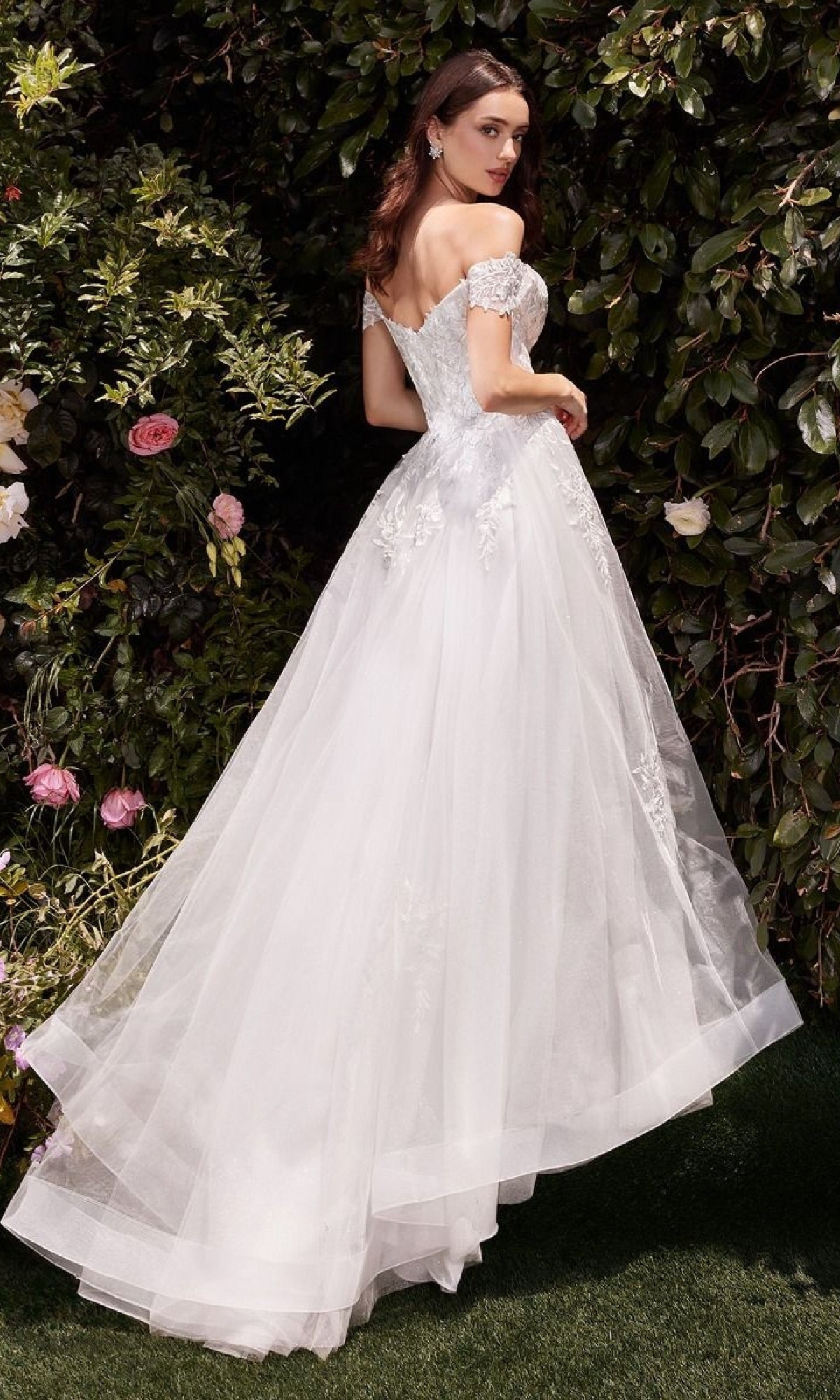Ladivine Long Formal Dress c159w