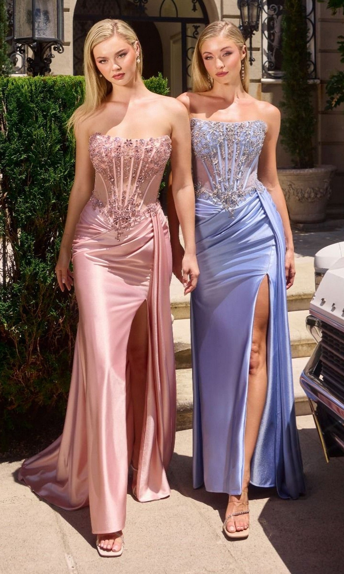 Blush Ladivine Long Formal Dress C169 - Image