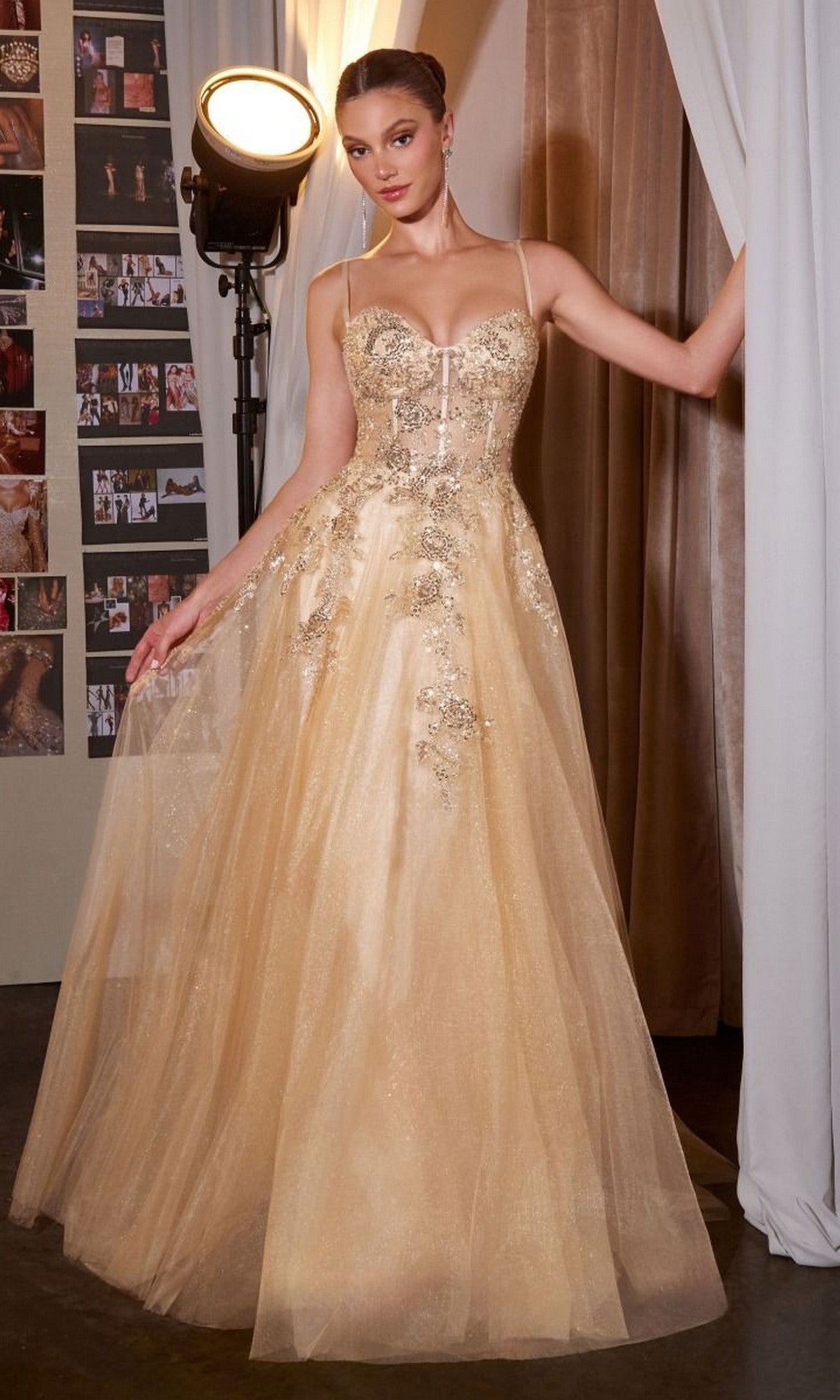 Ladivine Long Prom Dress C177