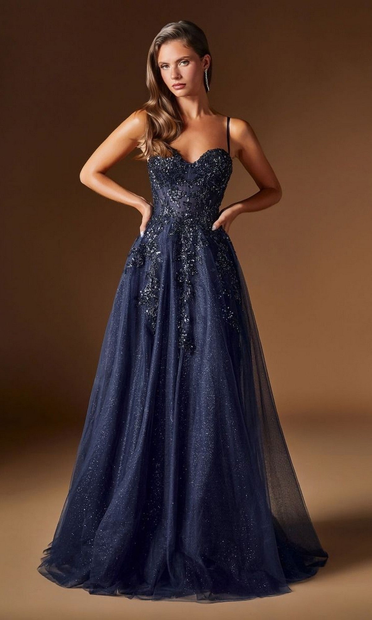 Ladivine Long Prom Dress C177