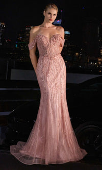 Blush Ladivine Long Formal Dress cc341