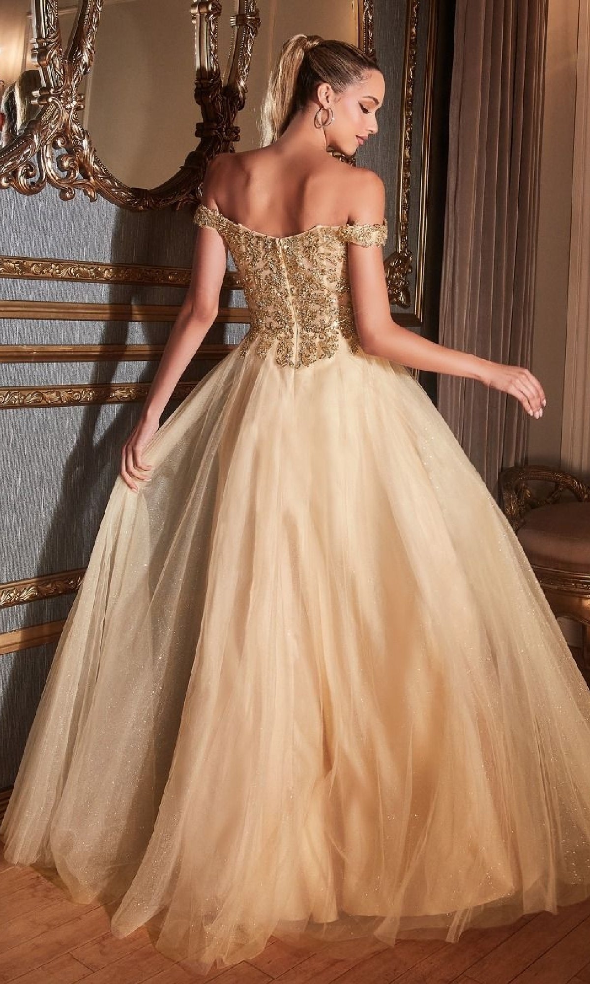 Ladivine Long Formal Dress cd0177