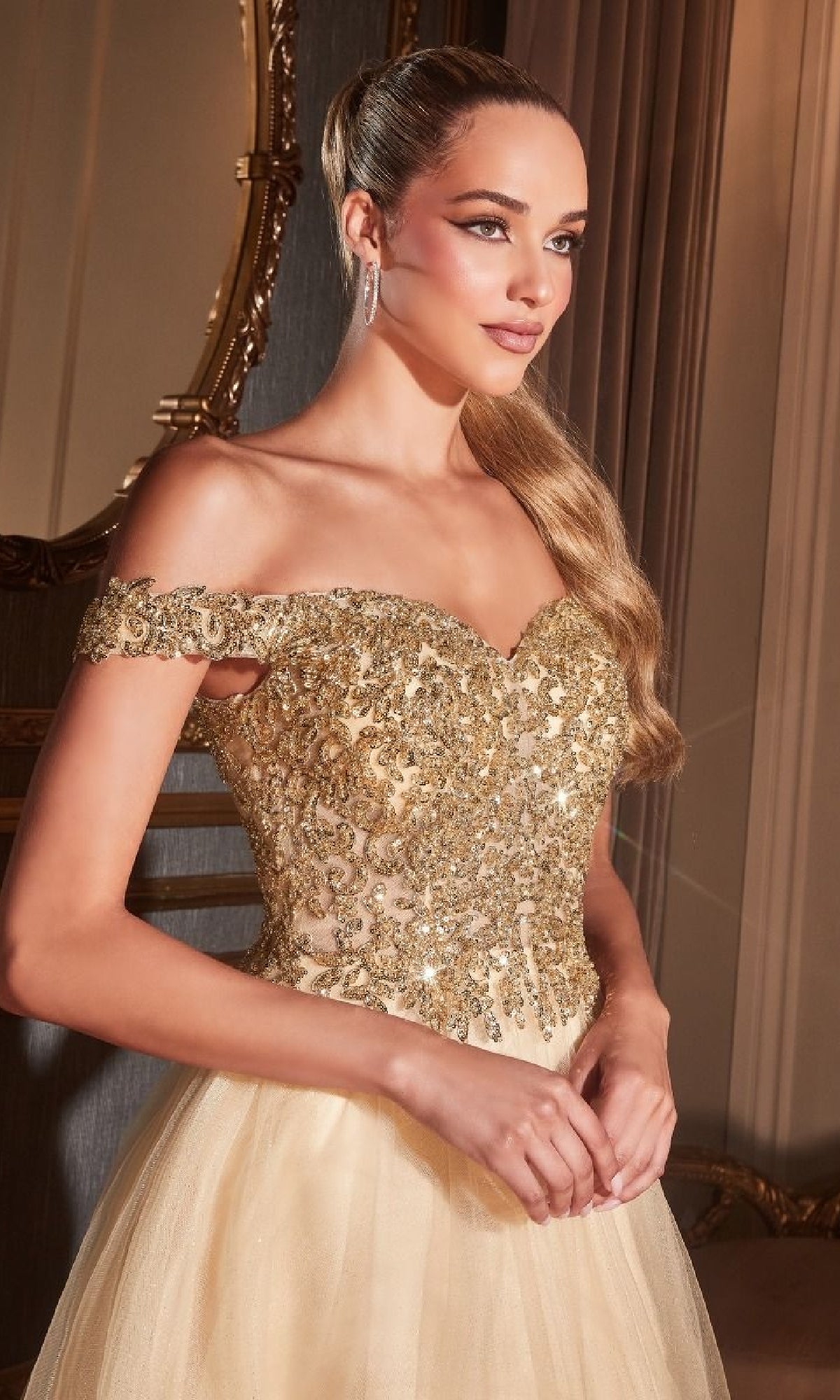 Ladivine Long Formal Dress cd0177