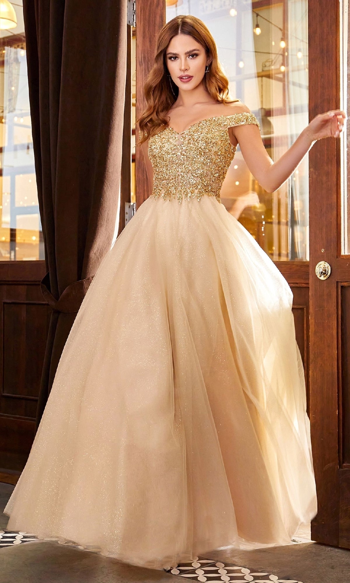 Ladivine Long Formal Dress cd0177