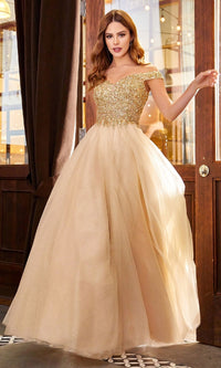 Ladivine Long Formal Dress cd0177