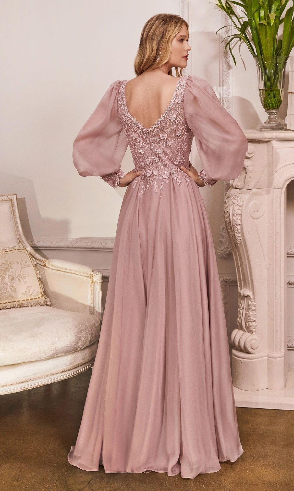 Ladivine Long Formal Dress cd0183