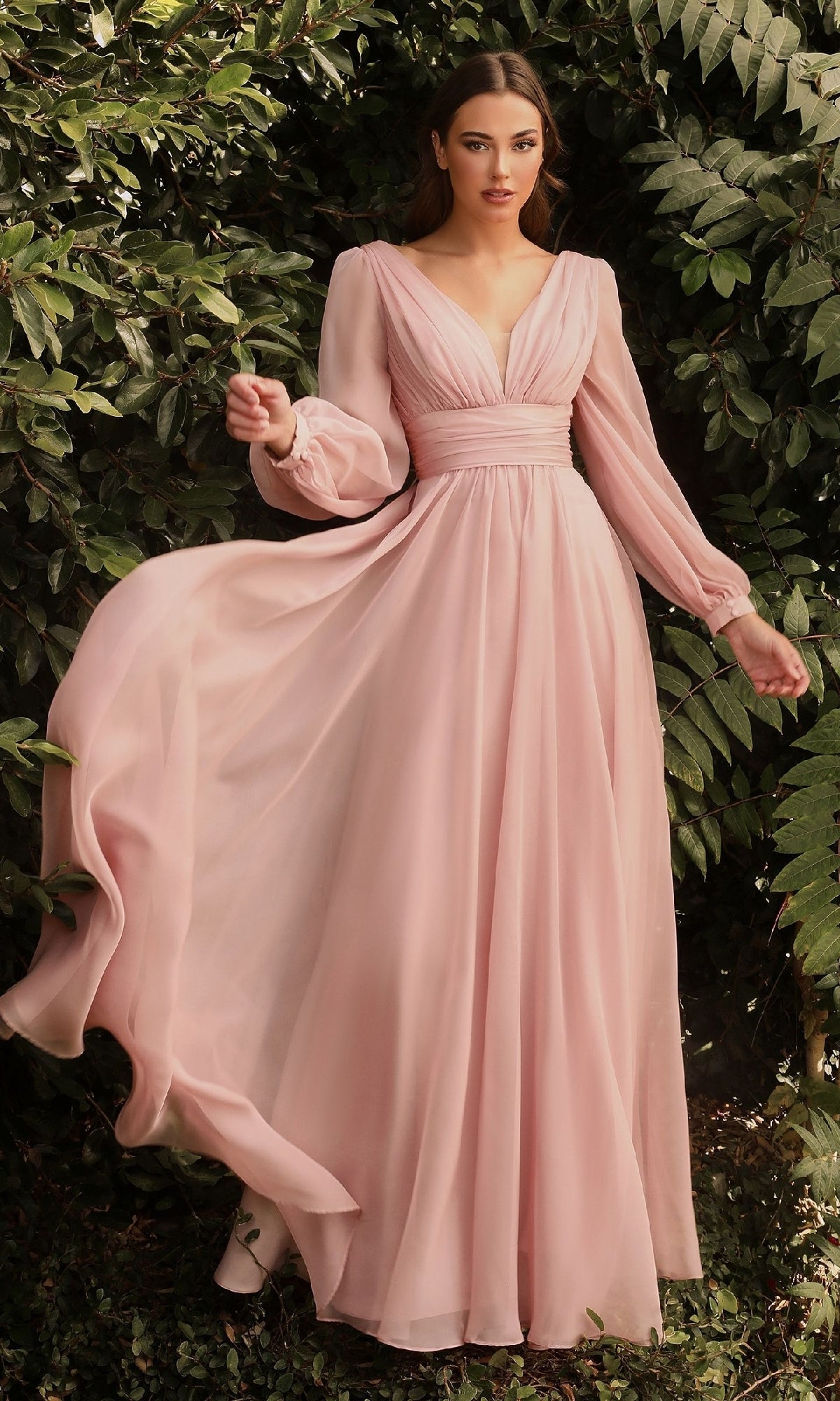 Blush Ladivine Long Formal Dress cd0192