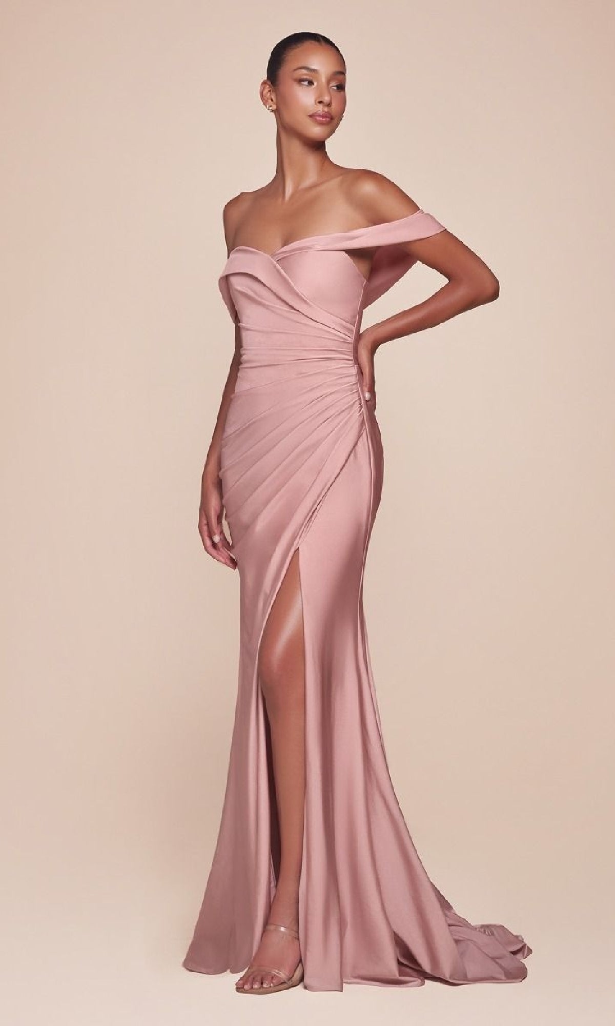 Dusty Rose Ladivine Long Formal Dress CD790