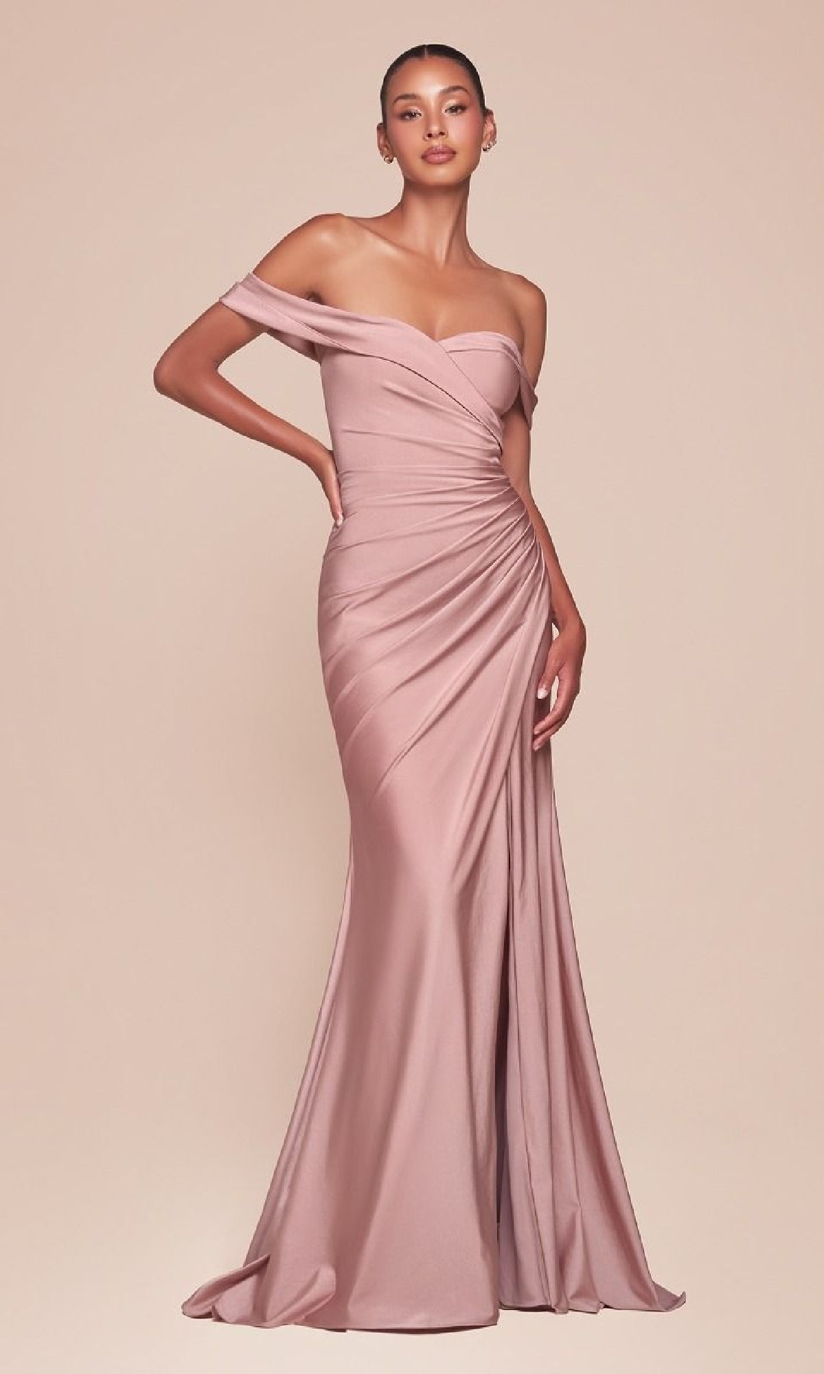 Ladivine Long Formal Dress CD790