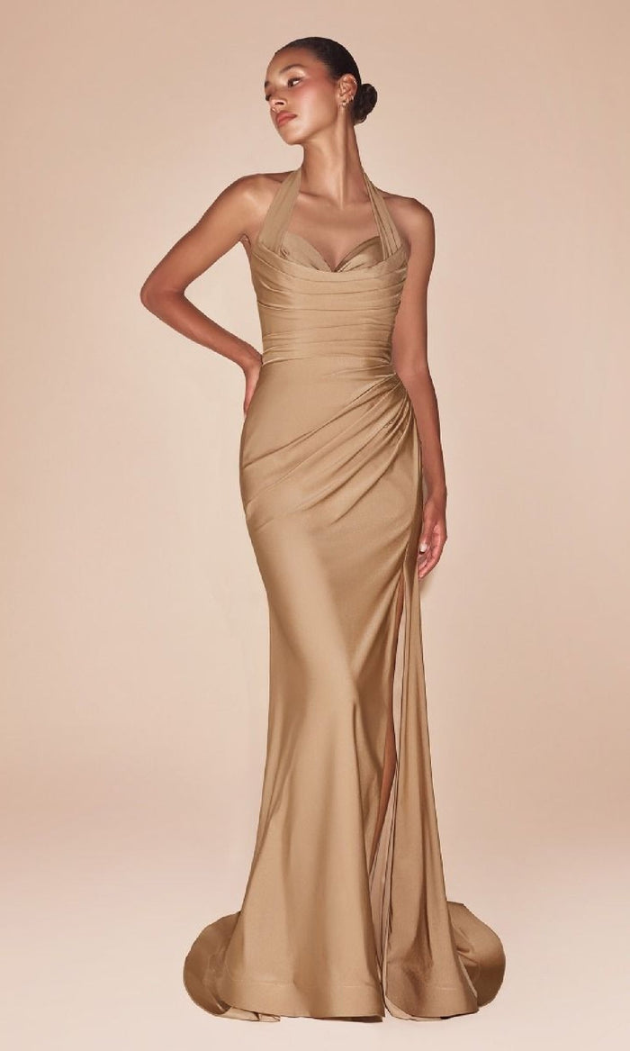 Ladivine Long Formal Dress CD796 - Image
