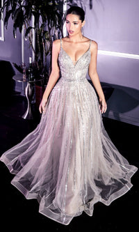 Platinum Ladivine Long Formal Dress cd940