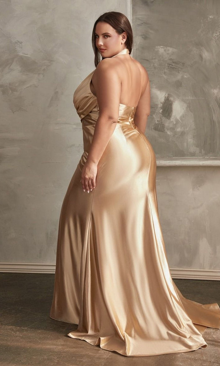  Long Plus-Size Formal Dress Ch079C by Ladivine