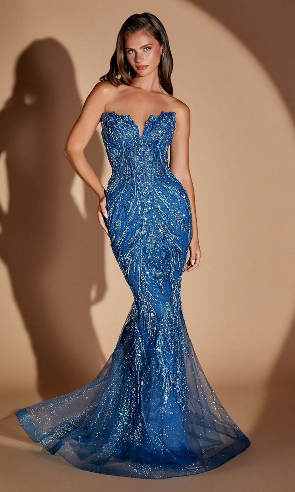 Ladivine Long Prom Dress CM393