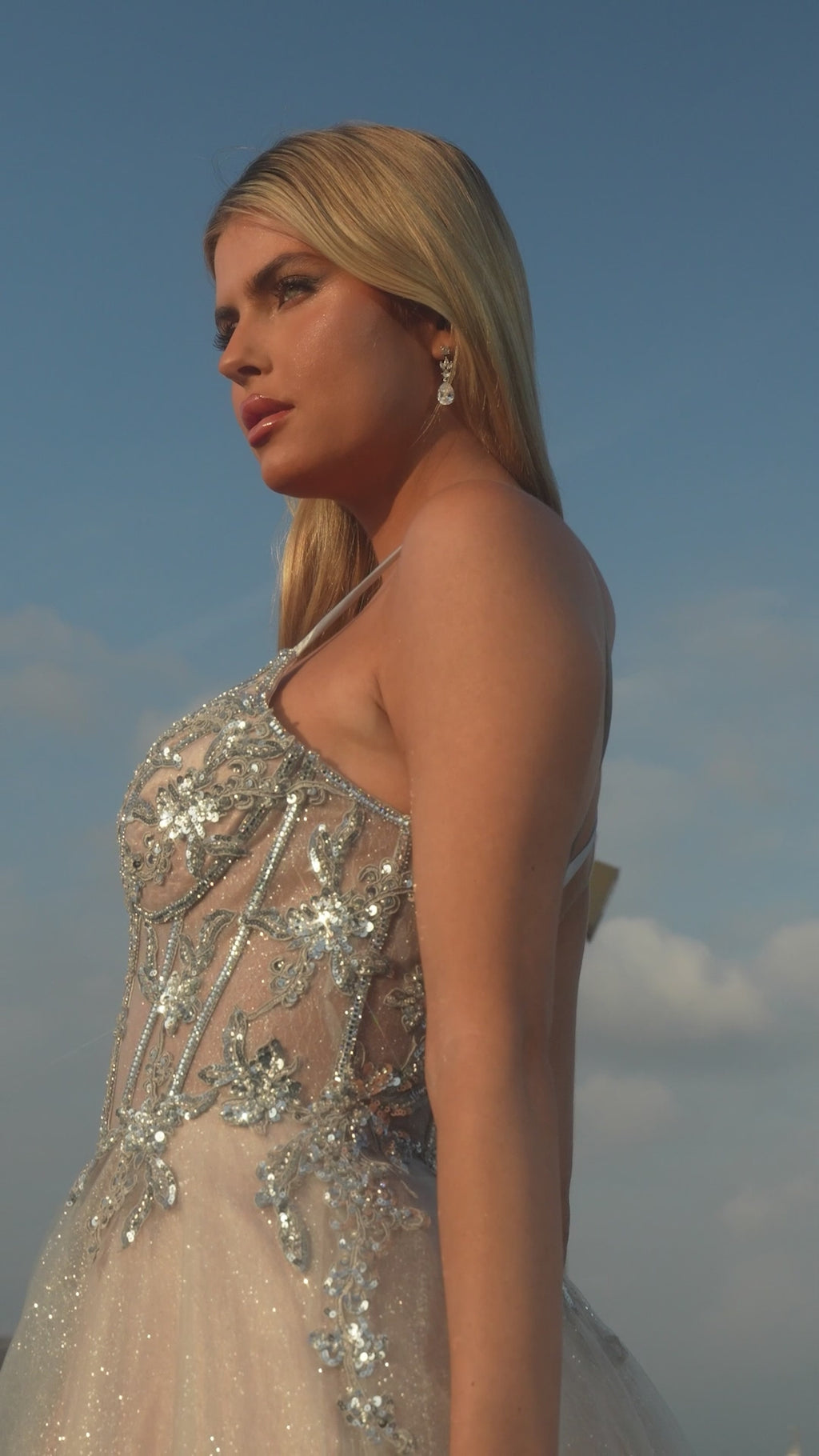 Ladivine Long Formal Dress CC0881