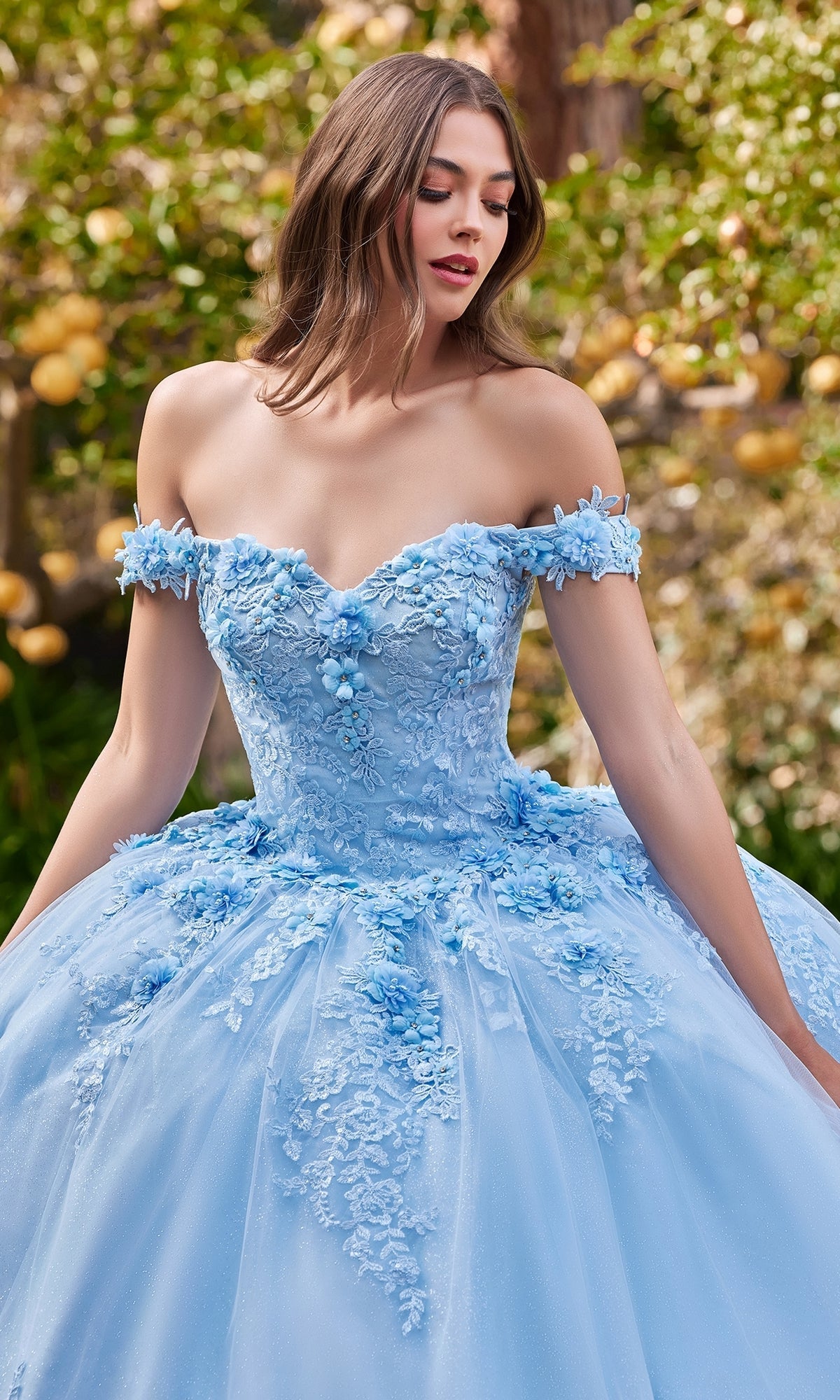  Long Ladivine 15702 Quinceanera Dress - Image